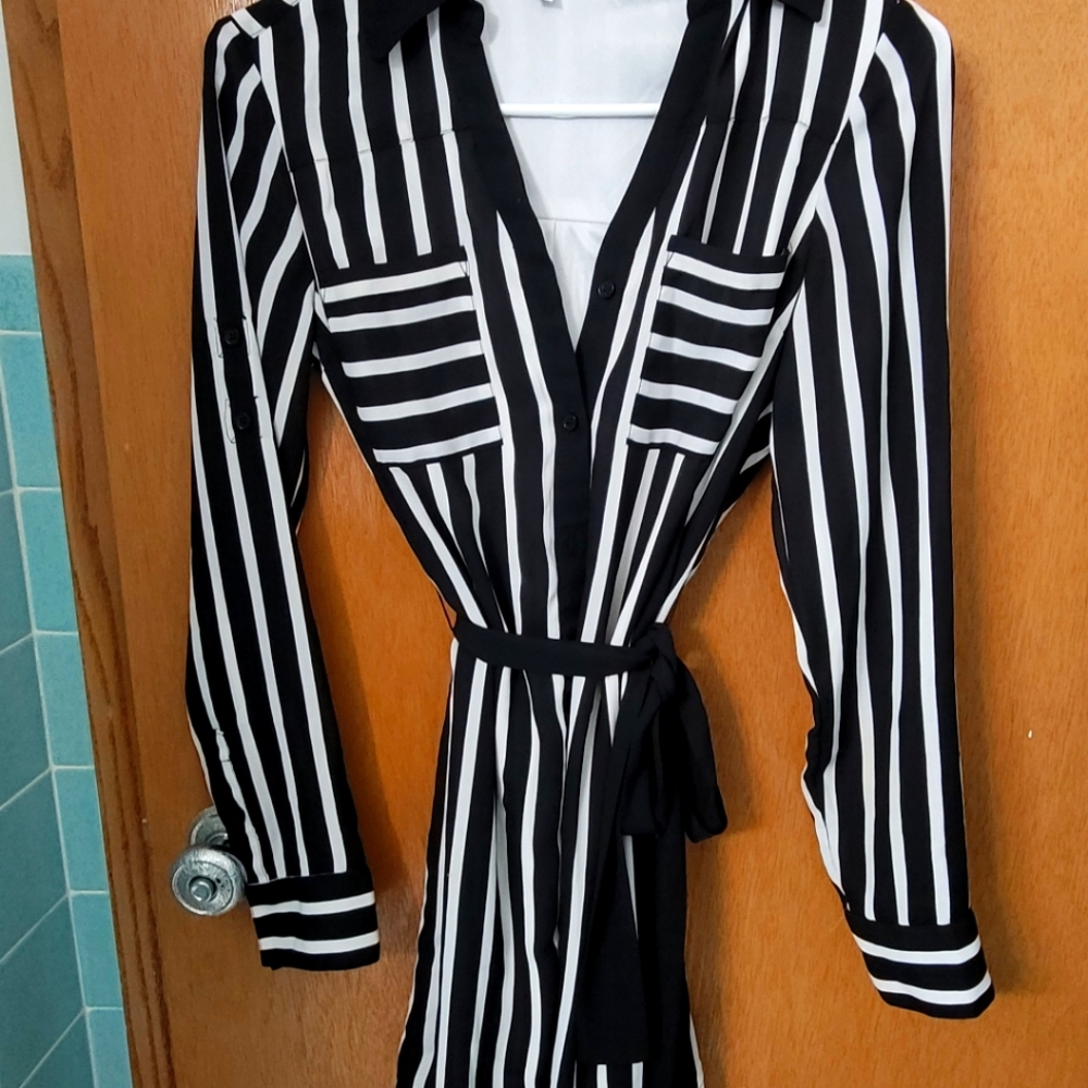 Express Portofino Shirt Dress